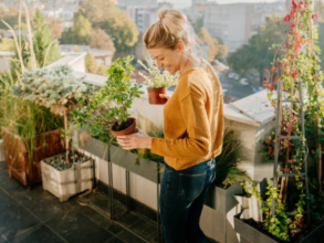 Thiết kế vườn rau trên sân thượng để có rau tươi xanh mỗi ngày